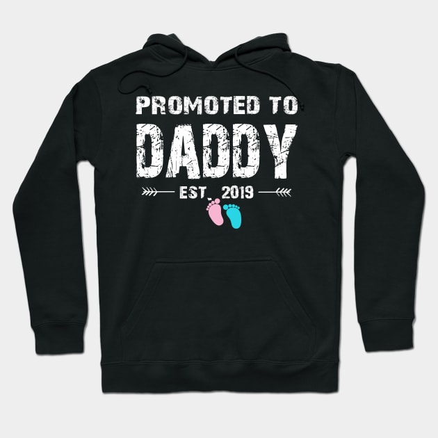 Promoted To Daddy Est. 2019 Funny Father's Day Gifts Hoodie by uglygiftideas